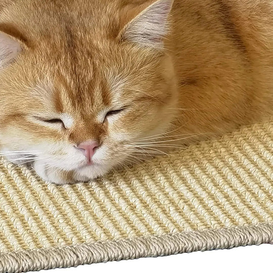 Scratching Board