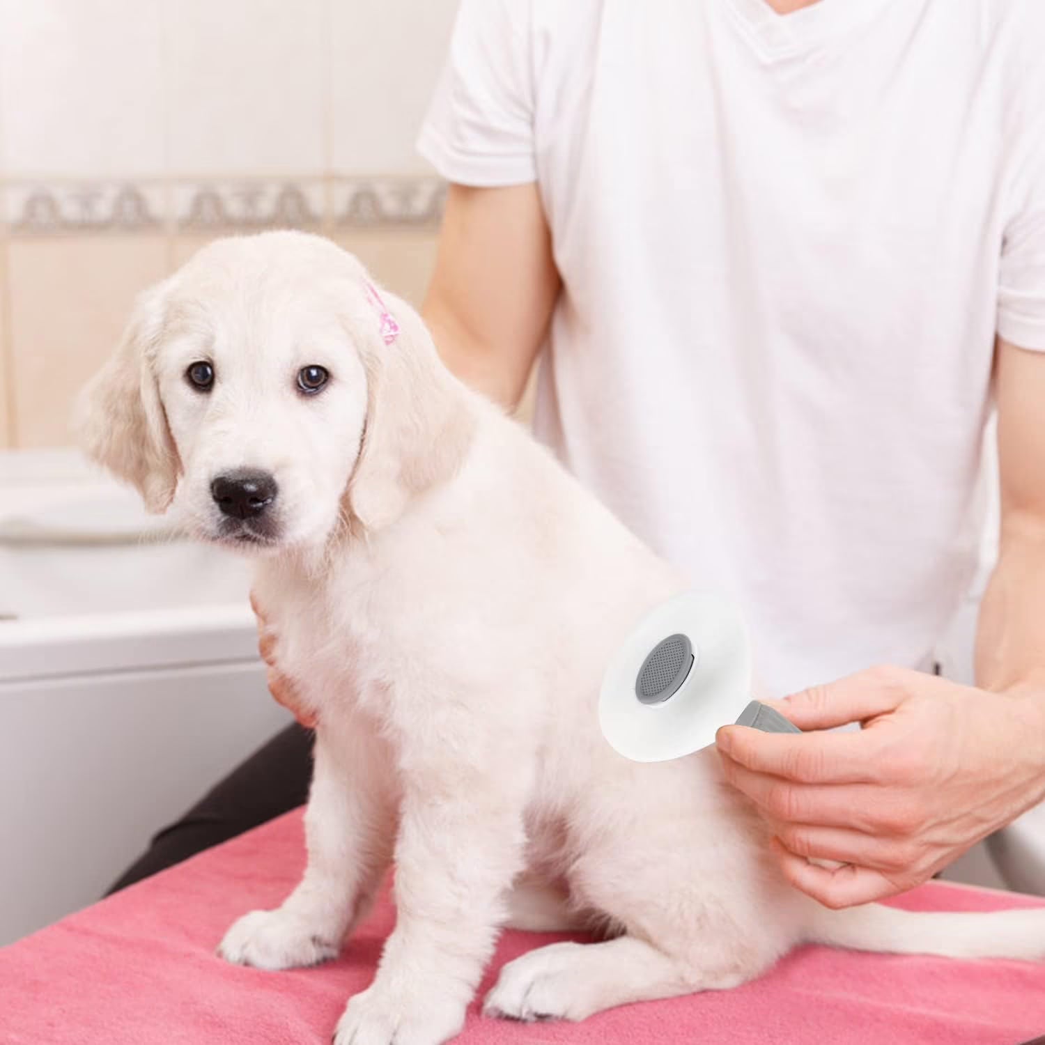 Dog Cat Pet Grooming Brush